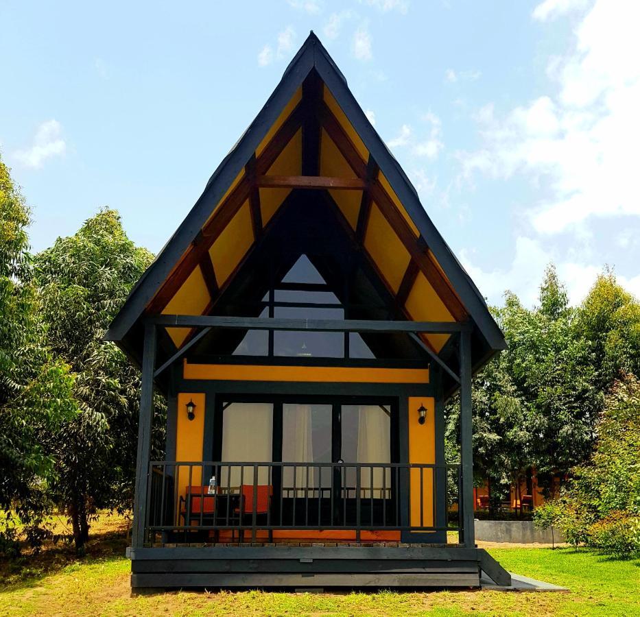 Shamba lodge cabins Arusha Exterior foto